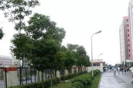 重庆春鸿电子厂累不累
