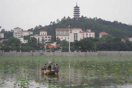 番禺莲湖湿地公园门票