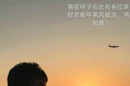 相逢伴酩酊是什么意思