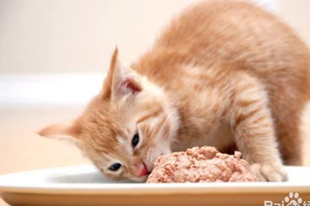 猫可以吃宠物火腿肠吗
