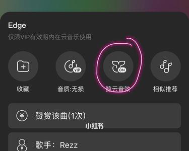 网易云纯音乐用什么音效