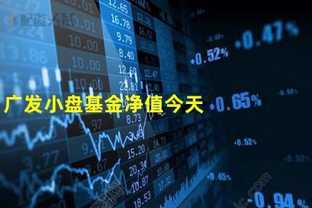 什么叫蓝筹基金