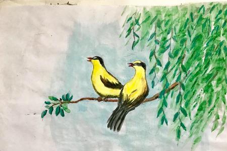 雀鸟知柳意思是什么