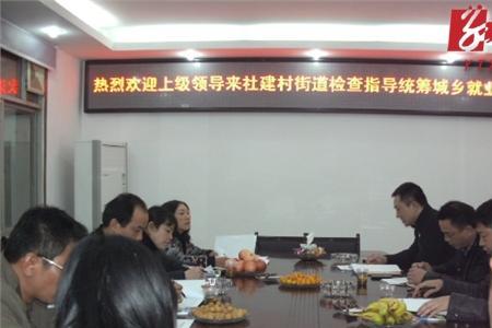统筹组是干什么的