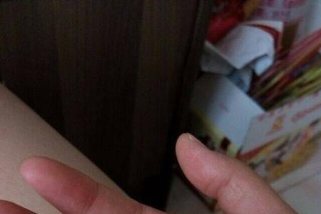 紫仓能长多大