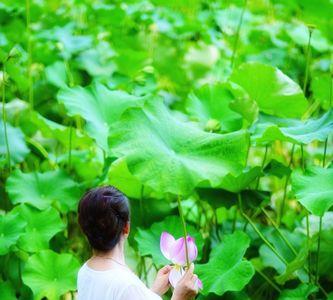 冰清玉洁讨人厌什么意思