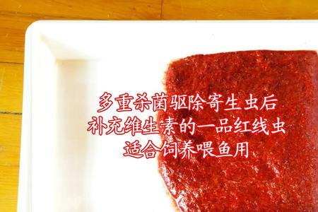 红线虫水蚯蚓保存方法