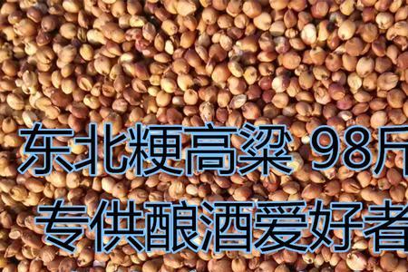 亩产3000斤红高粱是什么品种