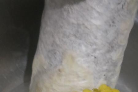 黄菌菇为什么都是黄色的
