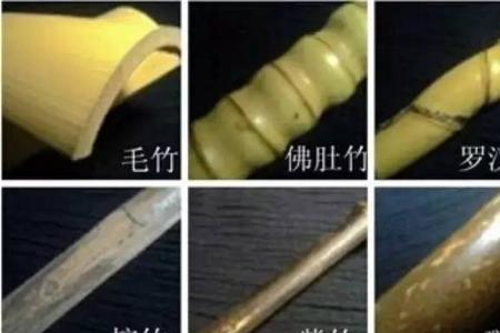 白竹和玉竹有什么区别