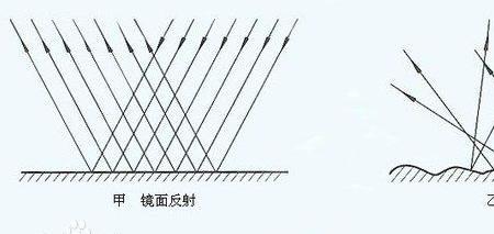 反射的性质