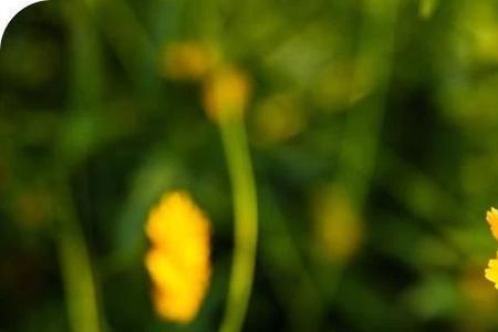 人生的路上有你的勉励和祝福