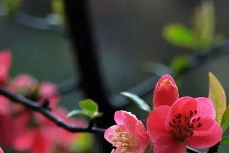 雨声阑珊什么意思