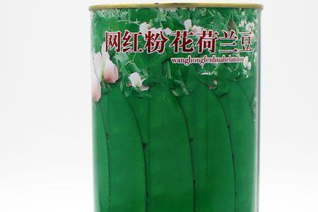 珍宝豆是什么