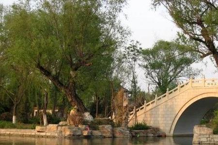 大明湖的桥的顺序