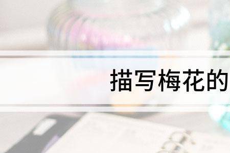 花瓣像什么比喻句