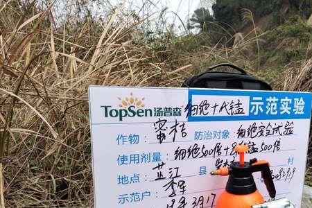 春雷王铜能和代森锰锌一起用吗