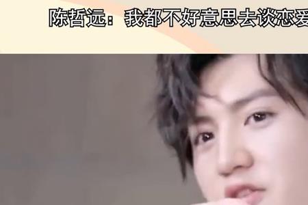 陈哲远粉丝有多少人