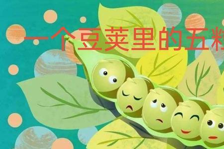 一粒豆什么寓意