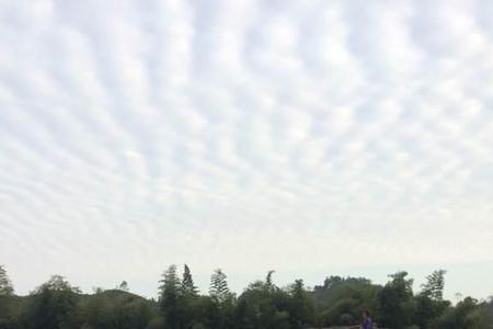 栗木换成米念什么