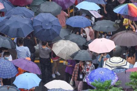 为什么夏天刮北风后会下雨