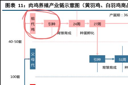 祖代与宗代的区别