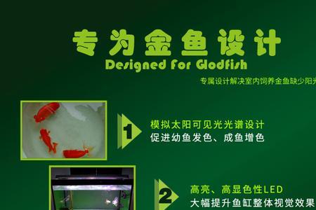 鱼缸贴纸容易爆藻吗