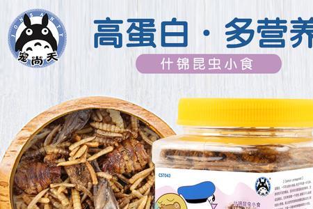 面包虫按什么分量喂给小仓鼠