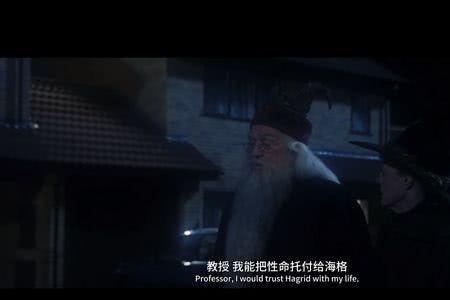哈利波特可以用什么词语形容