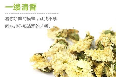 黄山白菊花为什么那么苦