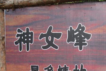 严郎瑶姬结局
