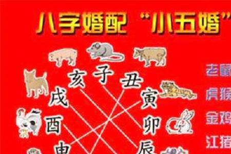 无子无女是什么生肖