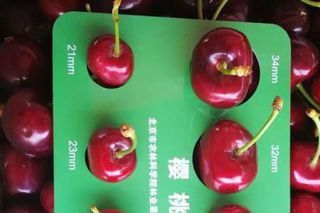 车厘子class1什么级别