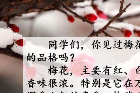 形容梅枝的词语