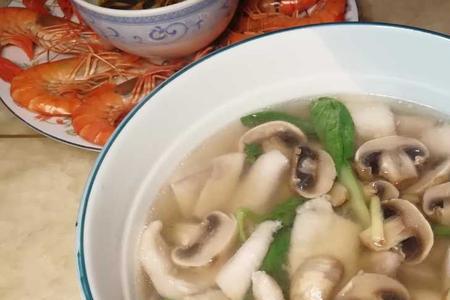 鲨鱼肚丝是什么