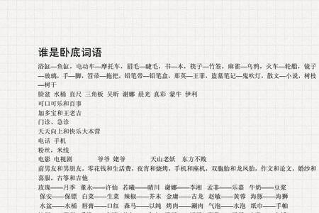 谁是卧底龙凤胎怎么形容