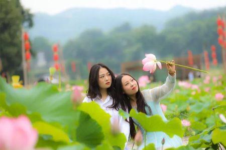 小孩荷花拍照姿势大全
