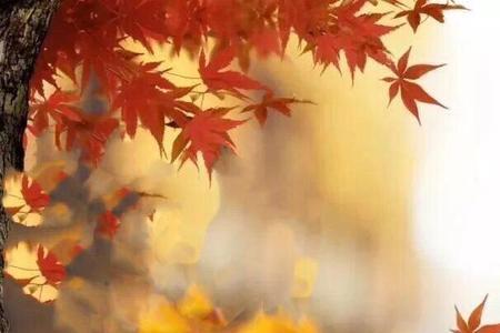 大地新曕草木妍什么意思
