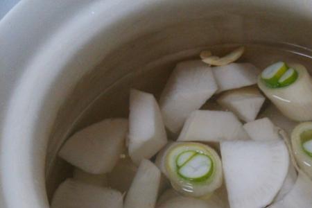 怎样煮青萝卜水