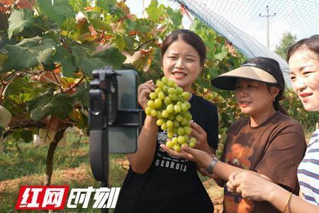 回乡创业的新农人精辟语录