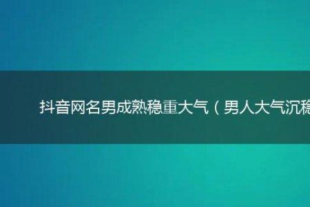 抖音名字男霸气沉稳以道为名