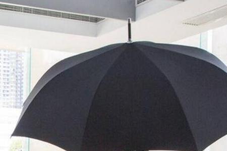 劳斯莱斯雨伞是单r还是双r