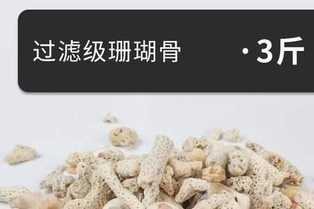 龙鱼缸过滤是否可以放珊瑚骨