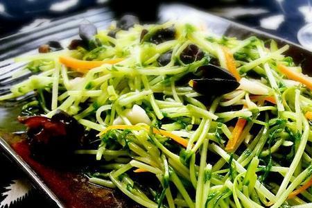 豌豆苗的10种家常做法