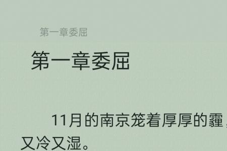 一个女一个乔念什么
