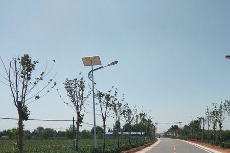 乡村道路十字路口通行规定