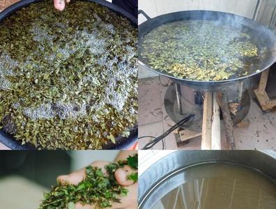 枫叶水煲糯米饭是碱性还是酸性