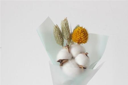 送棉花花束什么意思