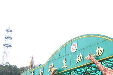 世界公园里有动物吗