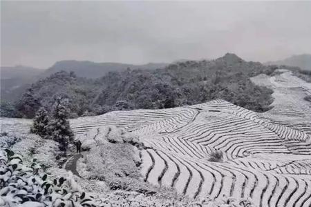 一什么冬雪